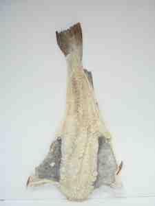 Salted Codfish