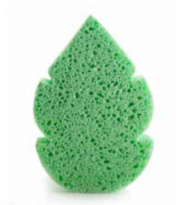 Cellulose leaf sponge