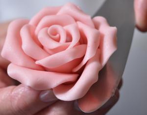 Marzipan cake decoration flowers