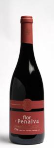 Flor de Penalva DOC Colheita Selecionada Red