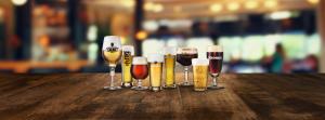 Bavaria Premium Lager, Bavaria 0.0%, 8.6 intense lager, Swinckels Superior Lager,  La Trappe trappist Ale, Palm Amber Ale, Rodenbach Sour Ale, Steenbrugge Abbey Beer, Cornet Strong Blond, Hollandia Premium Lager, Spijked& Hard Seltzers, B52 Energy drinks