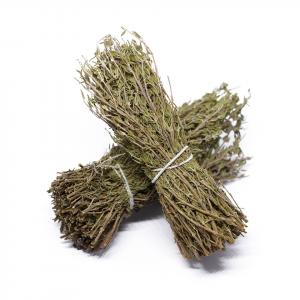 Thyme on Branch (Premium Seasonal İtem)