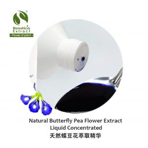 Standardized Butterfly Pea Flower Extract Liquid Concentrate, Fresh Natural Asian Gourmet Beverage or Bakery Ingredient, Fresh Natural Flavor, Fresh Natural Color Anthocyanin