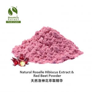 Standardized Roselle Hibiscus Extract Powder, Fresh Natural Asian Gourmet Beverage & Bakery Ingredient, Fresh Natural Flavor & Color Anthocyanin