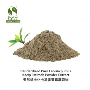 Standardized Pure 100:1 Labisia pumila Kacip Fatimah Powder Extract