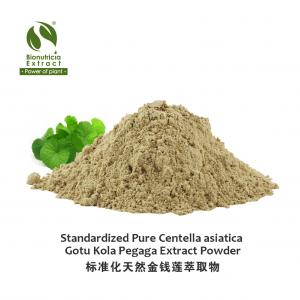 Standardized Pure 100:1 Centella asiatica Gotu Kola Pegaga Powder Extract
