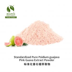 Standardized Pink Guava Psidium guajava Extract Powder