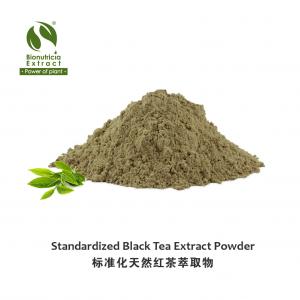 Standardized Pure Camellia sinensis Black Tea Extract