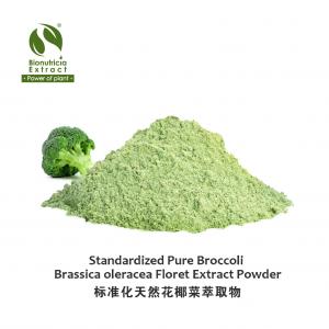 Standardized Pure 20:1 Broccoli Brassica oleracea Floret Powder Extract