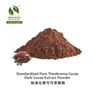 Standardized Theobroma cacao Dark Cocoa Extract Powder