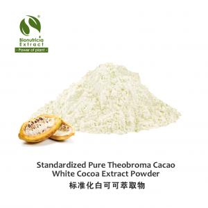 Standardized Theobroma cacao White Cocoa Extract Powder