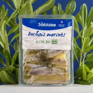 Organic - Fish marinades