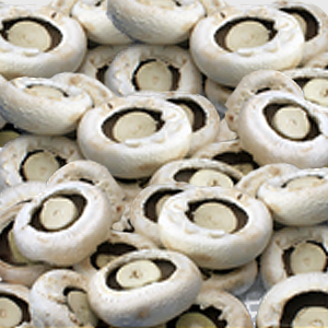 Cultivated Mushrooms