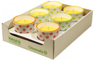 Terracotta pot with citronella fragrance 