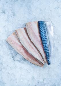 Mackerel fillet