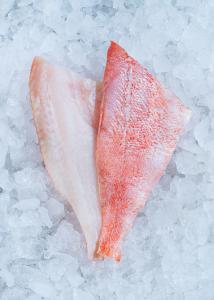 Red perch fillet