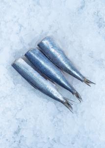 Matjes herring headed, gutted