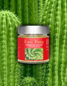 Cactus cream – Strengthening and anti-fall