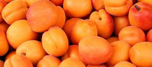 Stone fruits IQF
