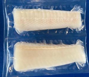 Greenland Halibut (Reinhardtiud hippoglossoides)