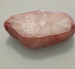 Redfish MSC IQF steaks (sebastes mentella/fasciatus)