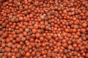 Organic Redcurrant Frozen IQF