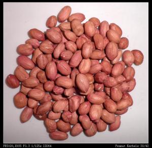 chinese redskin peanut kernels