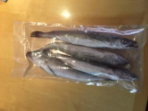 Silver Hake Wild Caught (merluccius bilinearis)