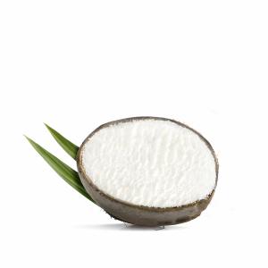 Filled coconut shell