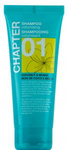 CHAPTER 01 clear turquoise tube - shampoo, 100ml - clear - coconut & monoi fragrance - 2705096