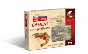 Frozen Giant wild Tiger Whole raw shrimps