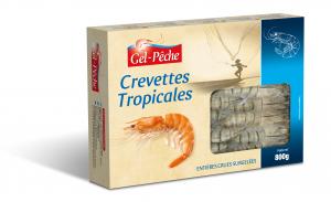 Frozen Tiger whole wild raw shrimps