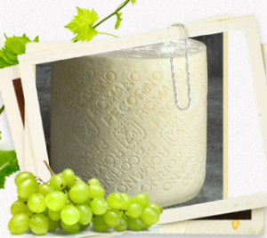 Pecorino Cheese