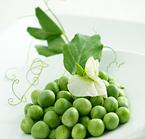 Frozen Vegetables