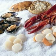 Shellfish & Squid - Frozen fish - Needl by Wabel