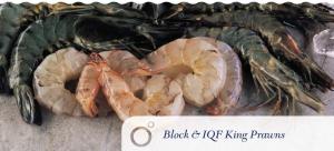 Block & IQF King Prawns
