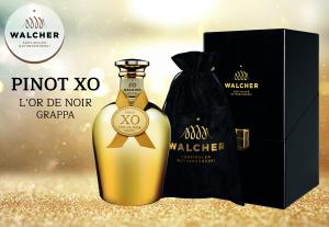 XO L'OR DE NOIR GRAPPA