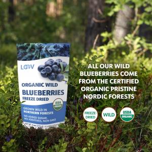 Freeze-Dried Organic Whole Wild Blueberries