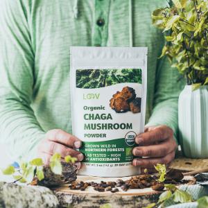 Organic Chaga Mushroom Air-Dried Powder
