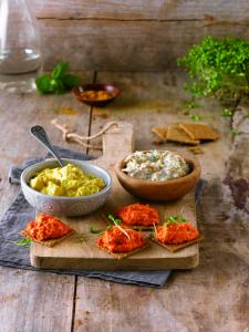 Vegetarian spreads - sandwich fillers - 100% Vegan