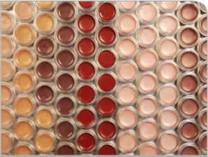 Lip Tints/ Lip Glosses/Shimmers