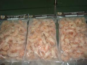 WILD RED SHRIMP 