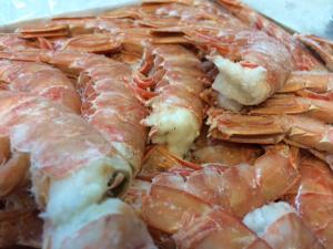 Wild Red Shrimp HLSO- TAIL