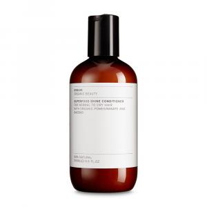 EVOLVE - SUPERFOOD SHINE NATURAL CONDITIONER