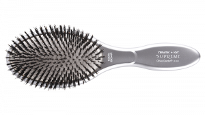 Ceramic Ion Supreme brushes 