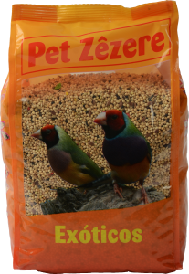 PetZêzere Exotic Birds