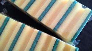 Scouring Sponges
