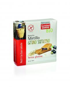 Organic gluten free blueberry bar