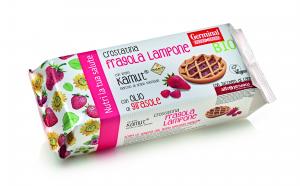 Organic blueberry tart