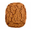 Speculoos